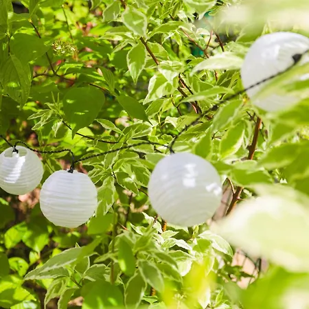 Le Cedre, Neuf Et Decoration Soignee Fontenay-sous-Bois